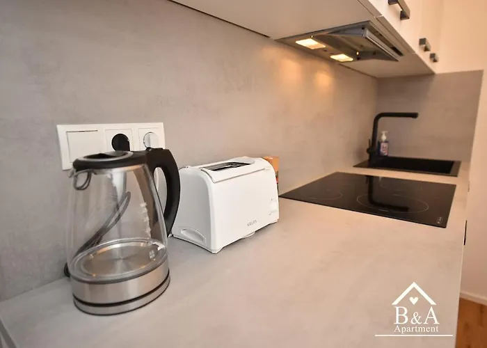 דירה B & A Mit Balkon Und Parkplatz In Metternich קובלנץ