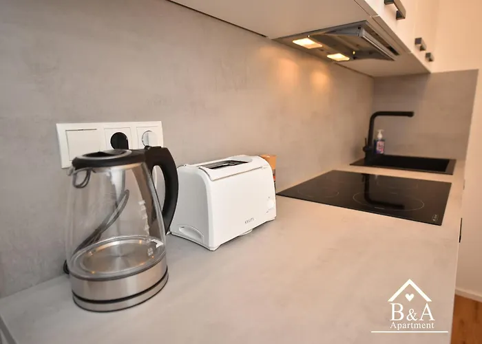 B & A Mit Balkon Und Parkplatz In Metternich דירה קובלנץ